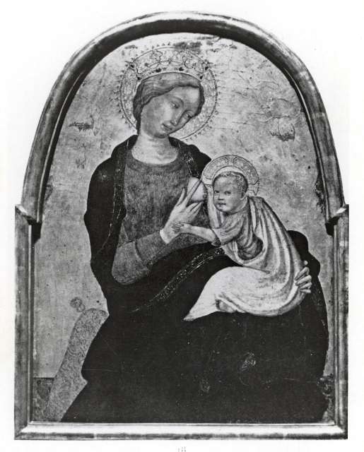 Anonimo — Maestro di Borgo alla Collina - sec. XV - Madonna dell'Umiltà — insieme